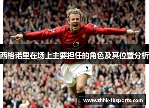 西格诺里在场上主要担任的角色及其位置分析